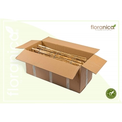 Płot z nóżką r.8-10cm (1mb) - drewniany, leszczynowy płot ogrodowy o długości 1m (100cm)